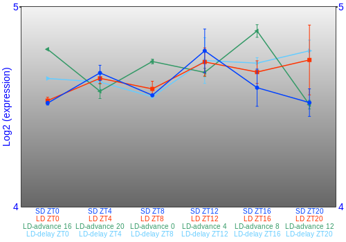Expression graph