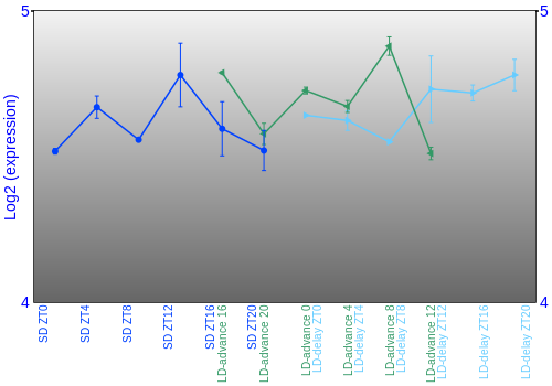 Expression graph