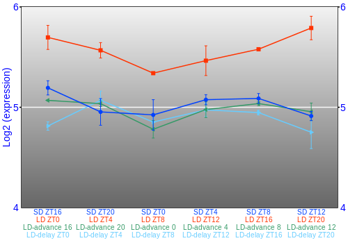 Expression graph