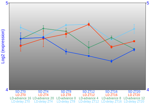Expression graph