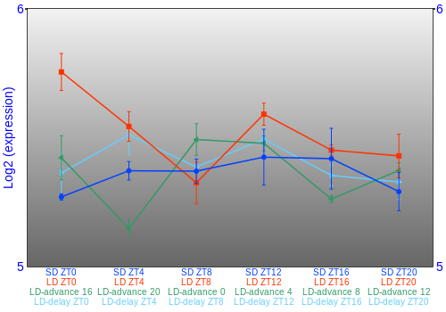 Expression graph