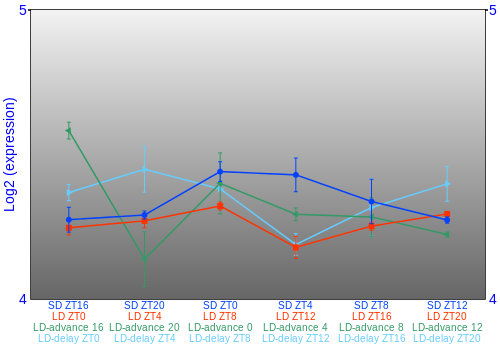 Expression graph