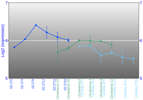 Expression graph