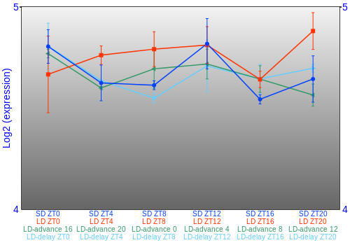 Expression graph