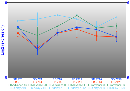 Expression graph