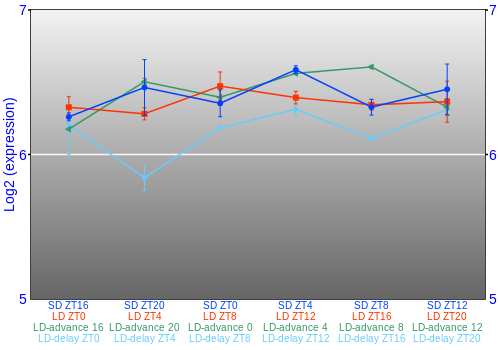 Expression graph