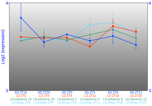 Expression graph