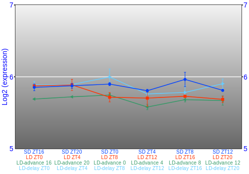 Expression graph