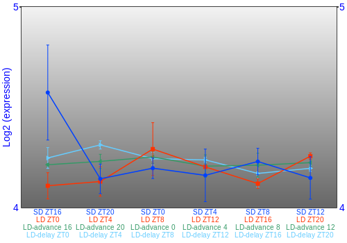 Expression graph