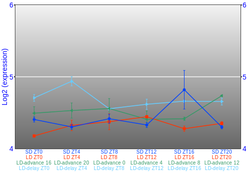 Expression graph