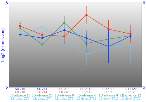 Expression graph