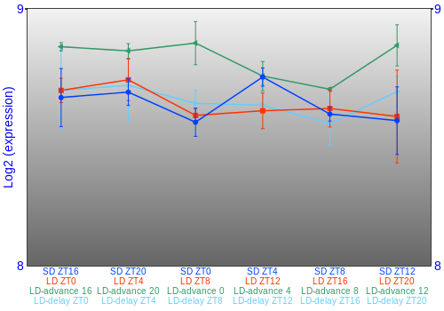 Expression graph