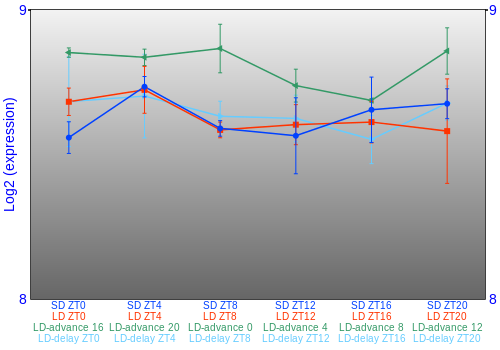 Expression graph