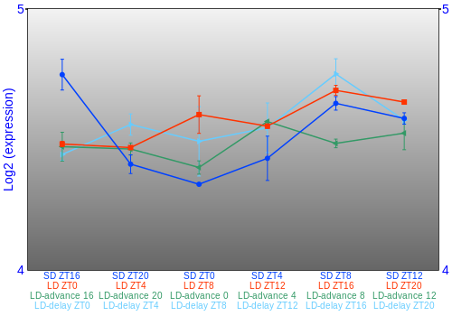 Expression graph