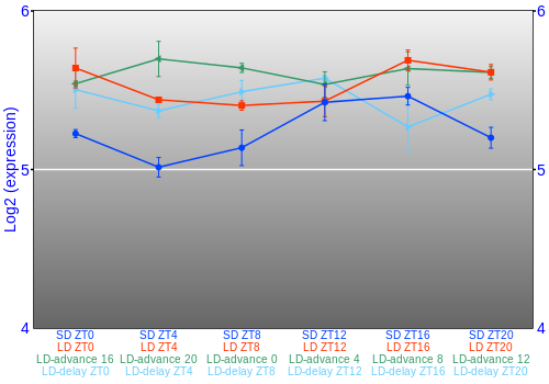 Expression graph