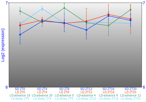 Expression graph