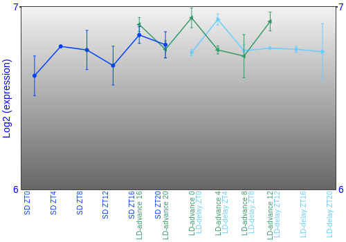 Expression graph