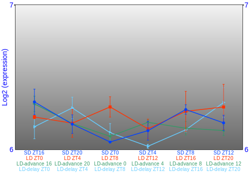 Expression graph