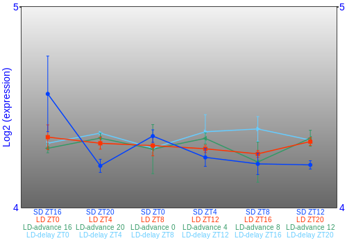 Expression graph