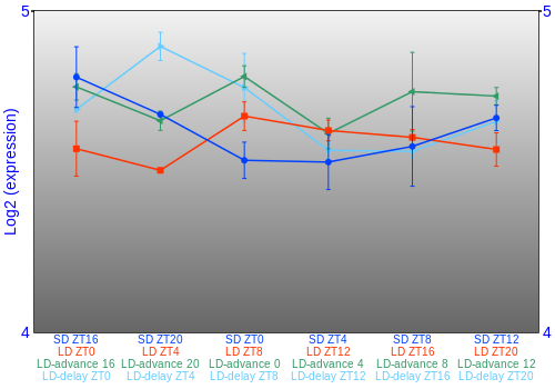 Expression graph