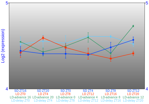 Expression graph