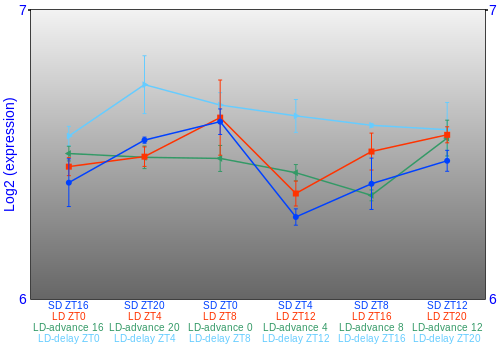 Expression graph