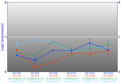 Expression graph