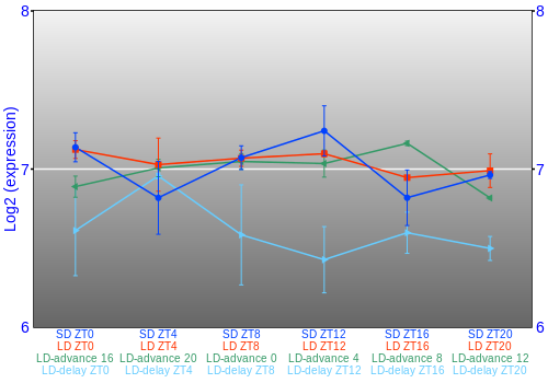 Expression graph