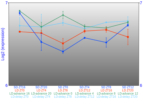 Expression graph