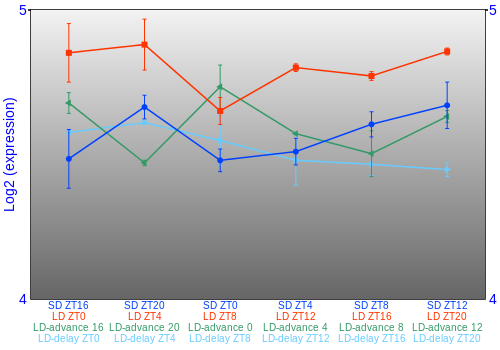 Expression graph