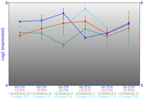 Expression graph