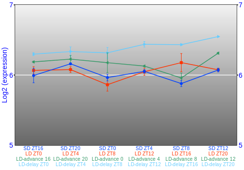 Expression graph