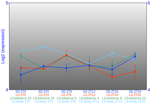 Expression graph