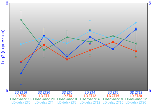 Expression graph