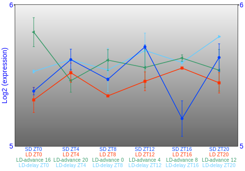 Expression graph