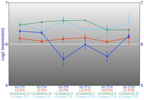Expression graph