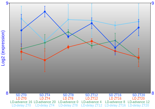 Expression graph
