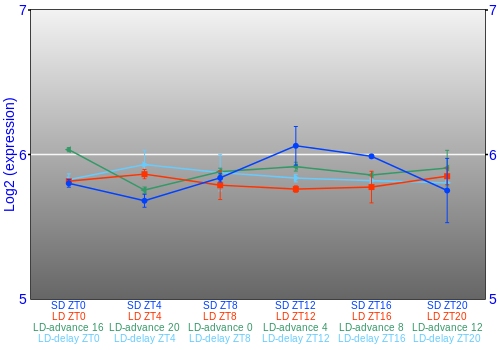 Expression graph