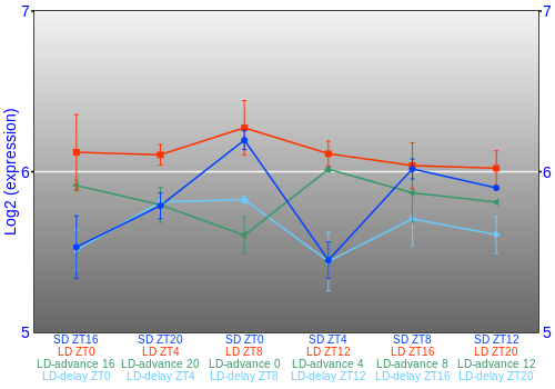 Expression graph