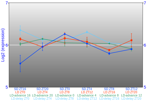 Expression graph