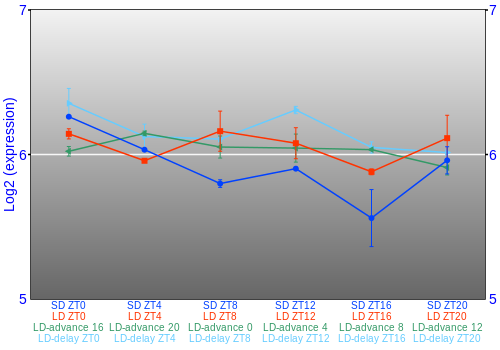 Expression graph