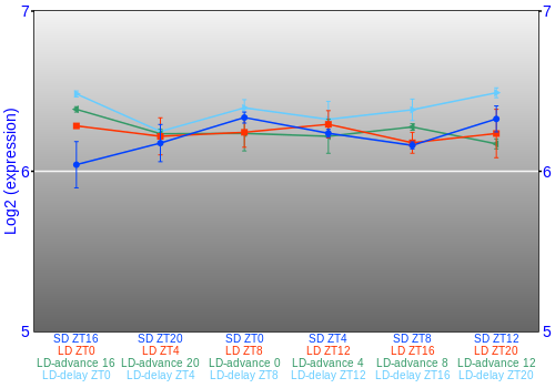 Expression graph