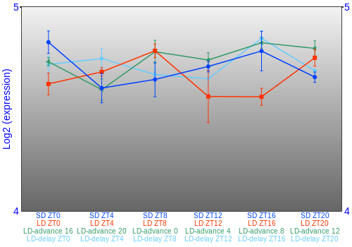 Expression graph