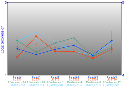 Expression graph