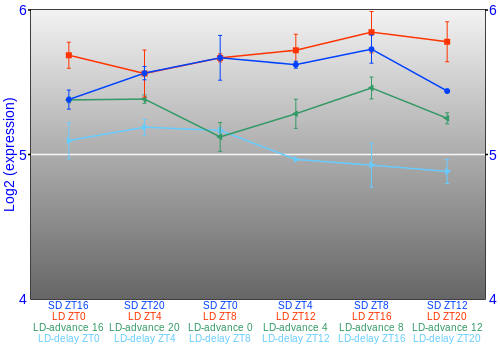 Expression graph