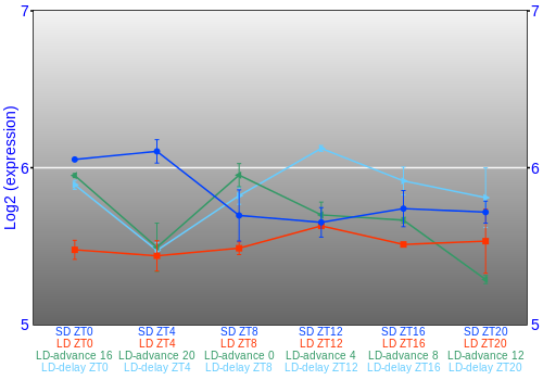 Expression graph