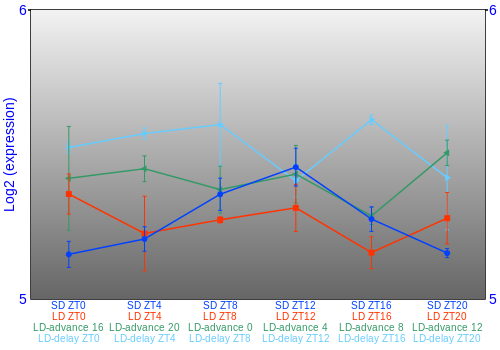 Expression graph