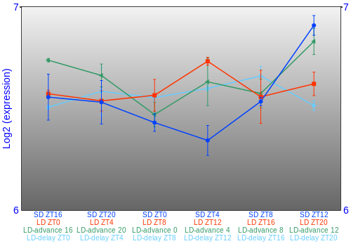 Expression graph