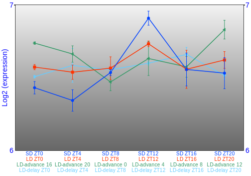 Expression graph