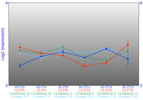 Expression graph